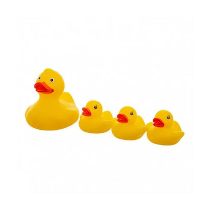 Akuku vonios žaislų rinkinys DUCKS 4 vnt., A0162