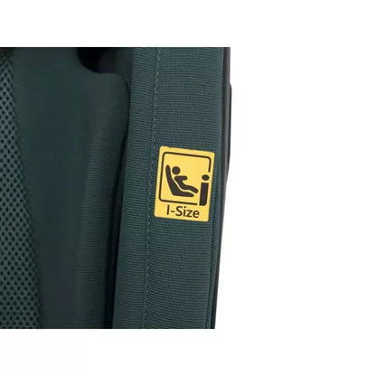 Automobilinė kėdutė Cavoe Grand Prix Pro Isofix, 15-36 KG., Forest