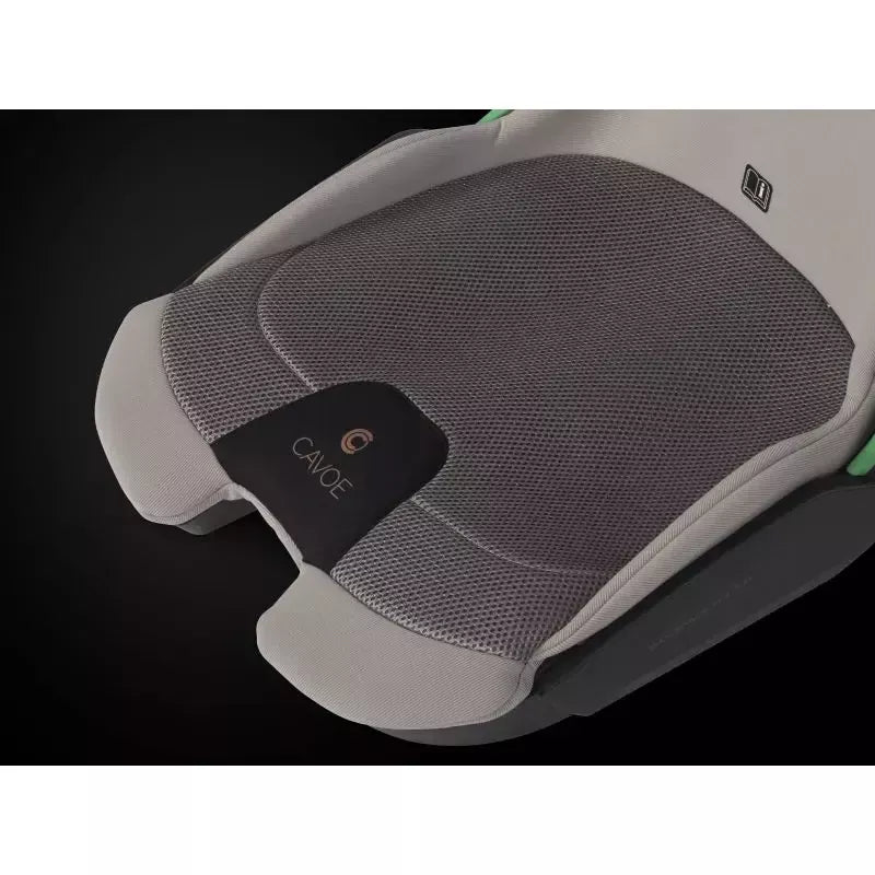 Automobilinė kėdutė Cavoe Grand Prix Pro Isofix, 15-36 KG., Taupe