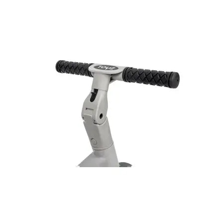 Dviratukas/triratukas Toyz FOX 4in1, grey/purple